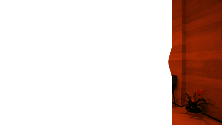 ד"ר בלן, השתלת שיניים,